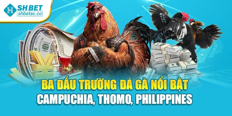 Ba đấu trường đá gà nổi bật – Campuchia, Thomo, Philippines 