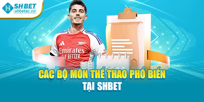 Các bộ môn thể thao phổ biến tại Shbet