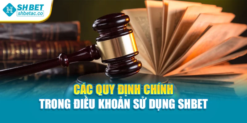 Các quy định chính trong điều khoản sử dụng Shbet