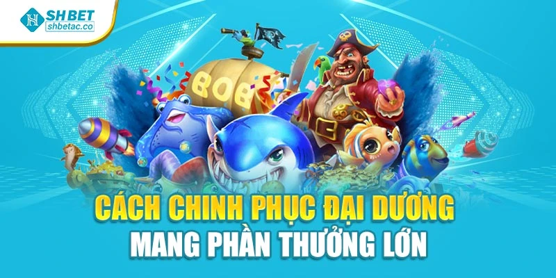 Cách chinh phục đại dương mang phần thưởng lớn