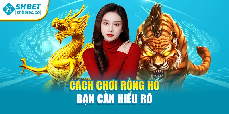 Cách chơi Rồng Hổ bạn cần hiểu rõ