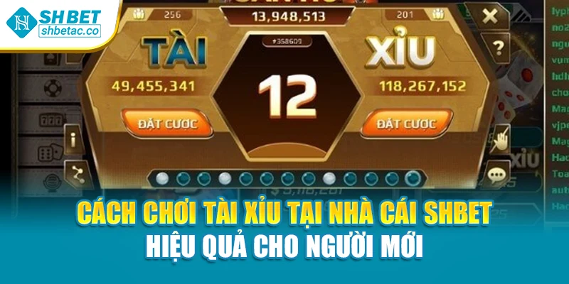 Cách Chơi Tài Xỉu Tại Nhà Cái Shbet Hiệu Quả Cho Người Mới