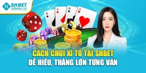 Cách Chơi Xì Tố Tại Shbet Dễ Hiểu, Thắng Lớn Từng Ván