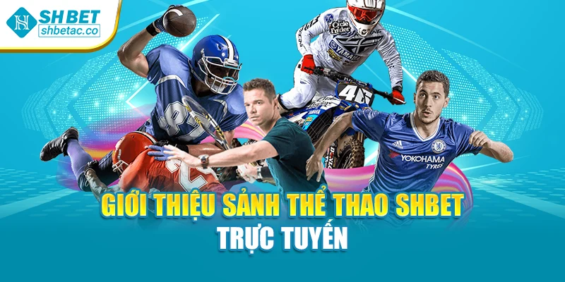 Giới thiệu sảnh thể thao Shbet trực tuyến