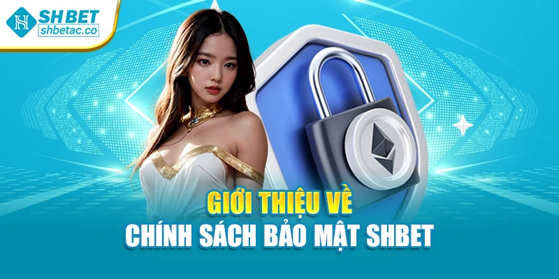 Giới thiệu về chính sách bảo mật Shbet