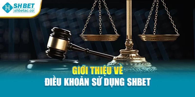 Giới thiệu về điều khoản sử dụng Shbet