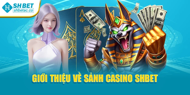 Giới thiệu về sảnh casino Shbet