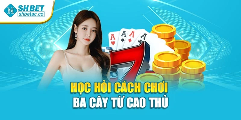 Học hỏi cách chơi ba cây từ cao thủ