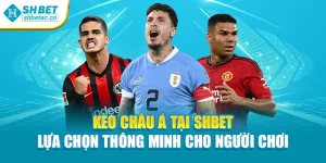Kèo Châu Á Tại Shbet Lựa Chọn Thông Minh Cho Người Chơi