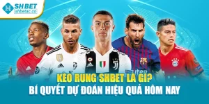 Kèo Rung Shbet Là Gì? Bí Quyết Dự Đoán Hiệu Quả Hôm Nay