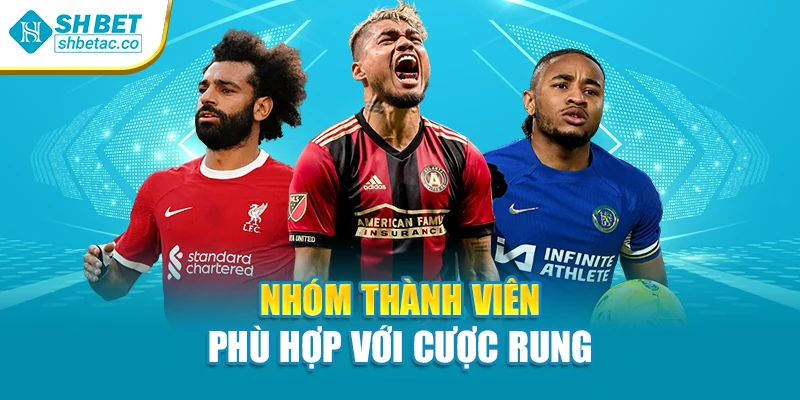 Nhóm thành viên phù hợp với cược rung