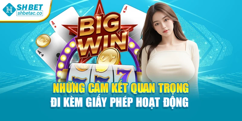 Những cam kết quan trọng đi kèm giấy phép hoạt động 