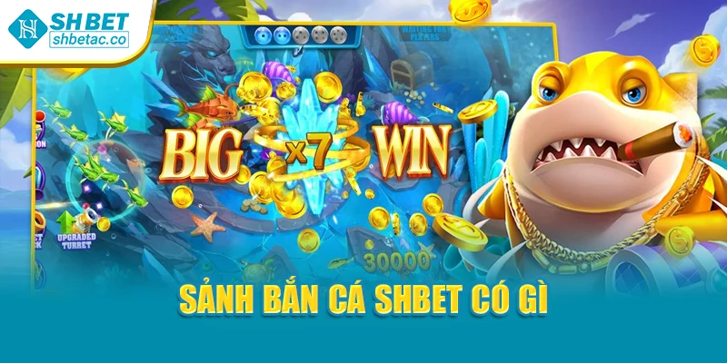 Sảnh bắn cá Shbet có gì