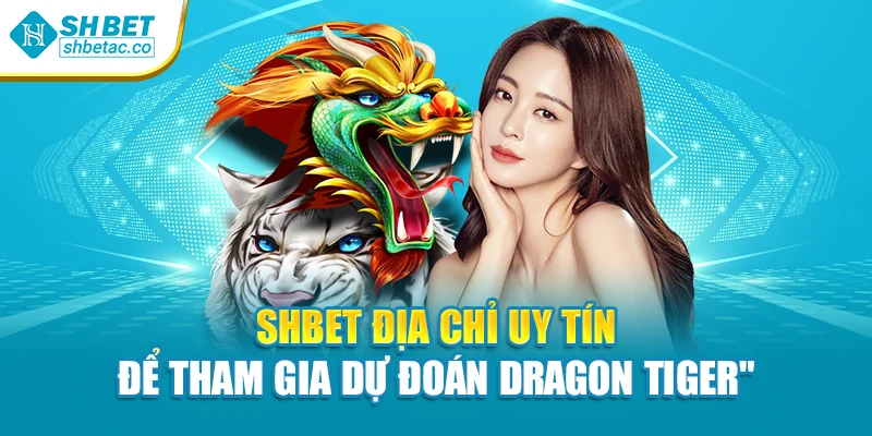 Shbet địa chỉ uy tín để tham gia dự đoán Dragon Tiger