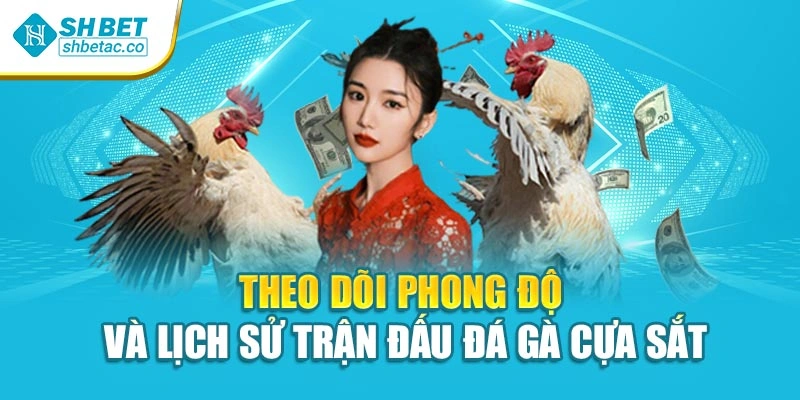 Theo dõi phong độ và lịch sử trận đấu đá gà cựa sắt