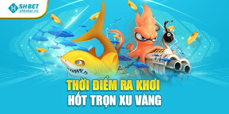 Thời điểm ra khơi hốt trọn xu vàng