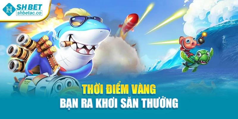 Thời điểm vàng bạn ra khơi săn thưởng