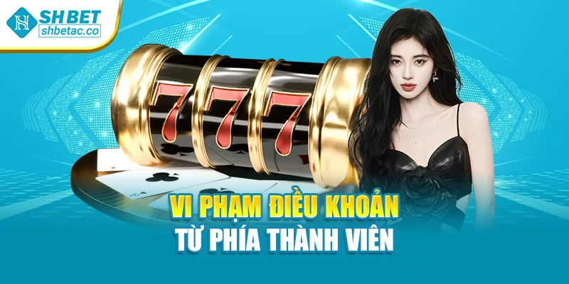 Vi phạm điều khoản từ phía thành viên